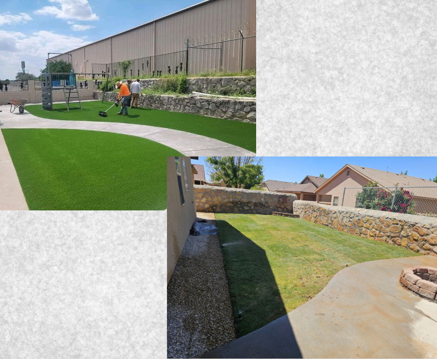 Comparison of two backyard lawns, one with artificial turf and other with natural grass, showing different landscaping styles.