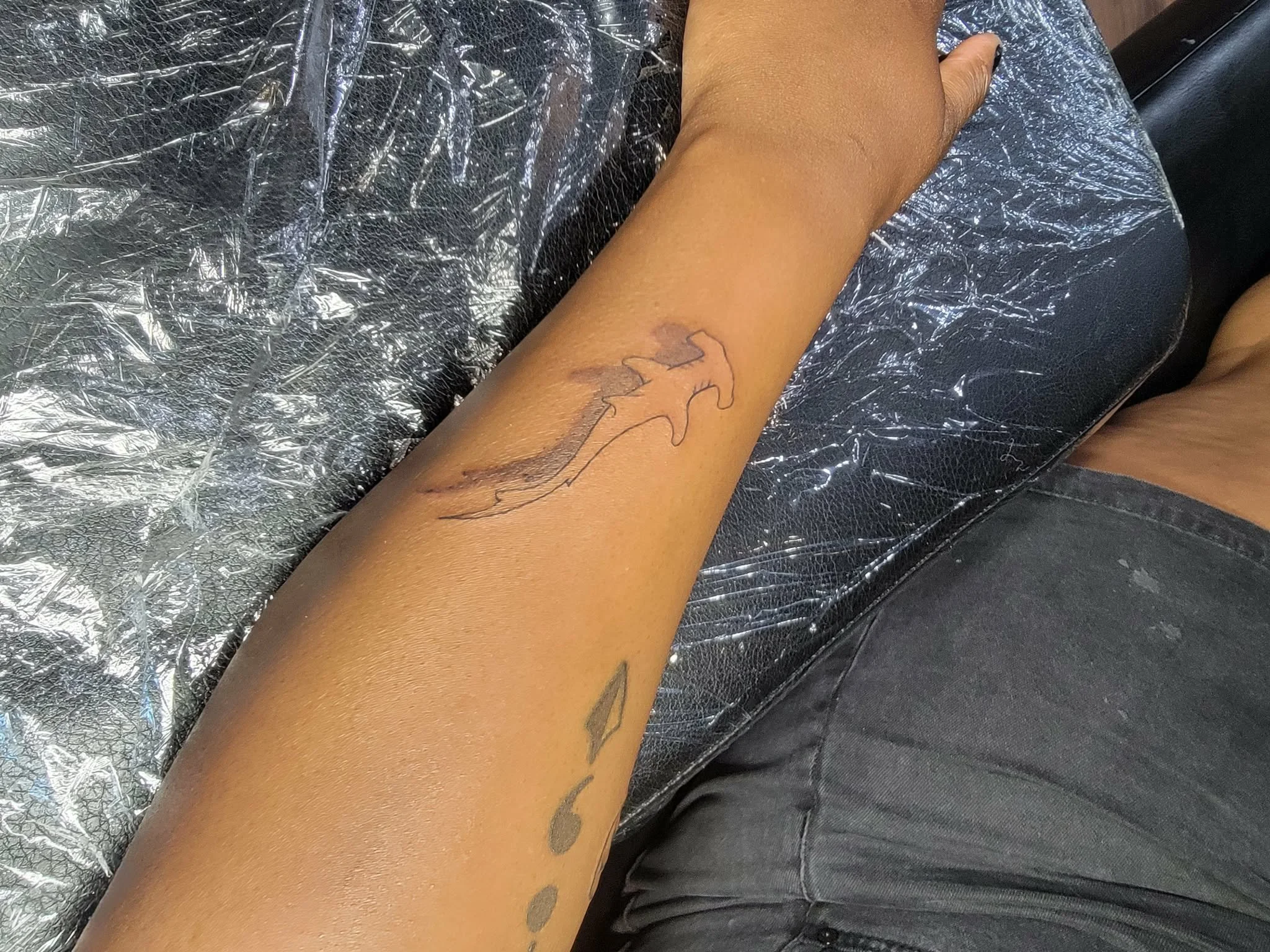 fine line shark with shadow