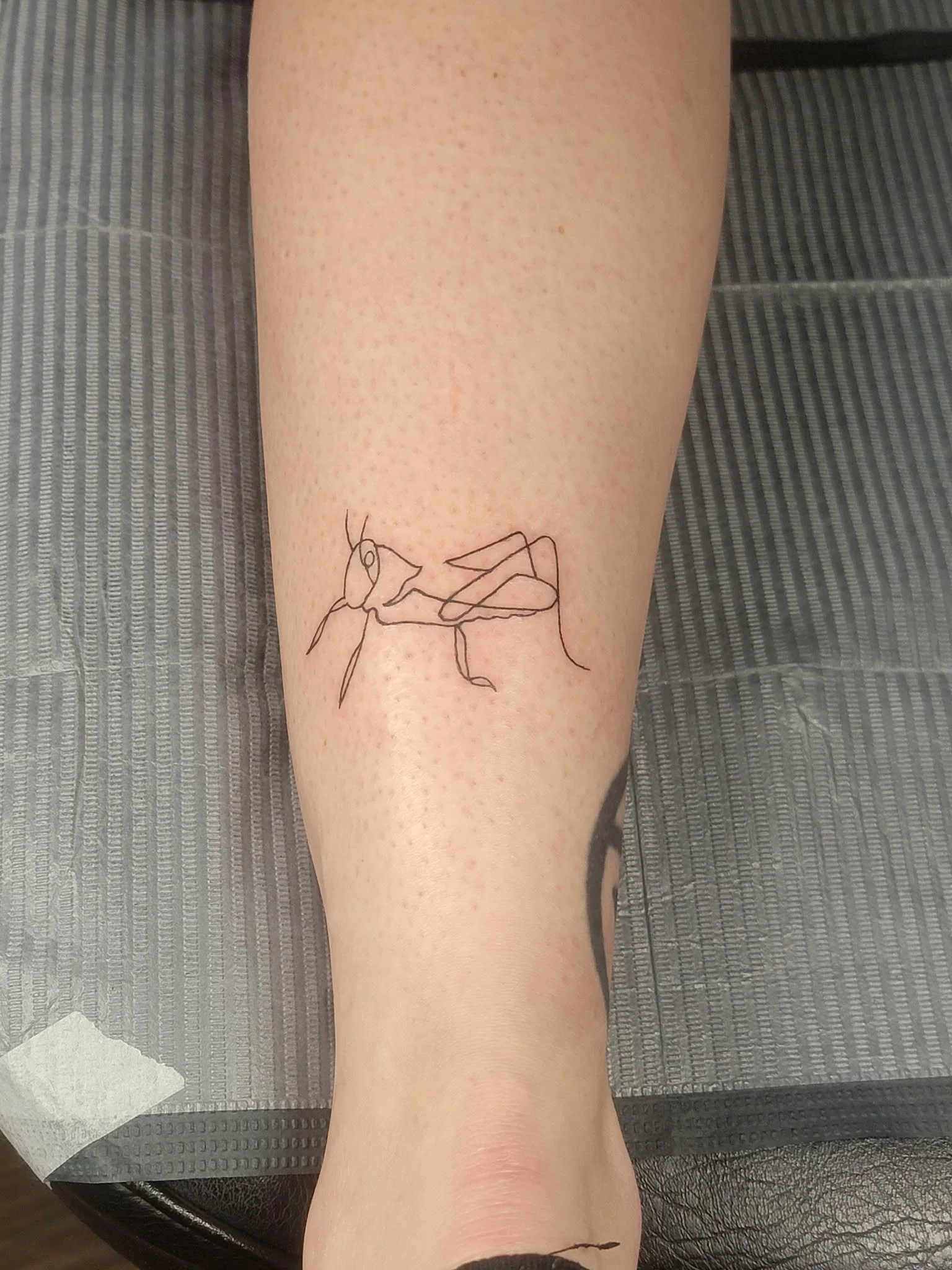 A tattoo of a minimalist line drawing of a praying mantis on a person's leg.