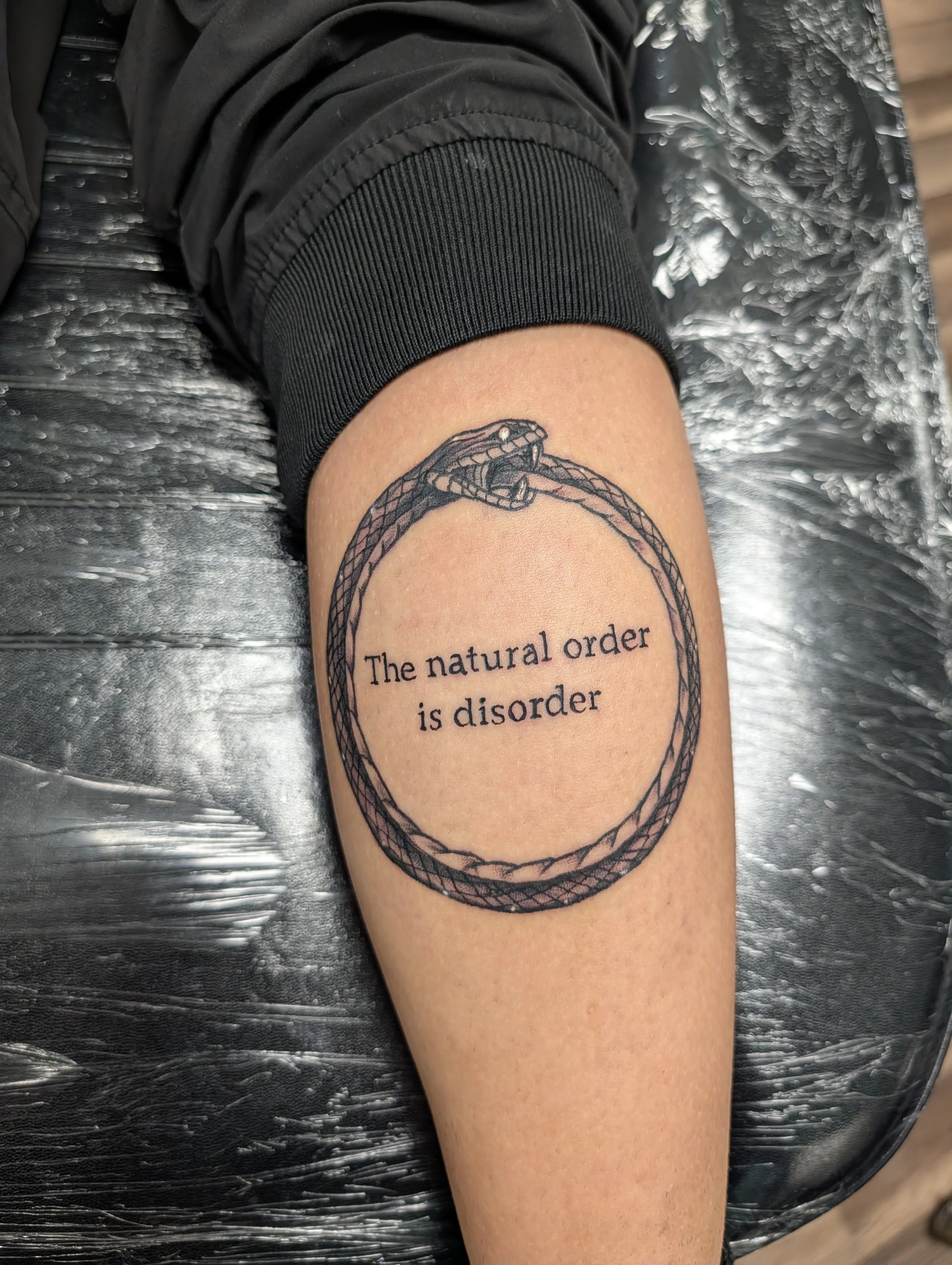 A tattoo on a person's upper arm features a circular rope design with a snake biting its tail and a quote that reads, 'The natural order is disorder'.