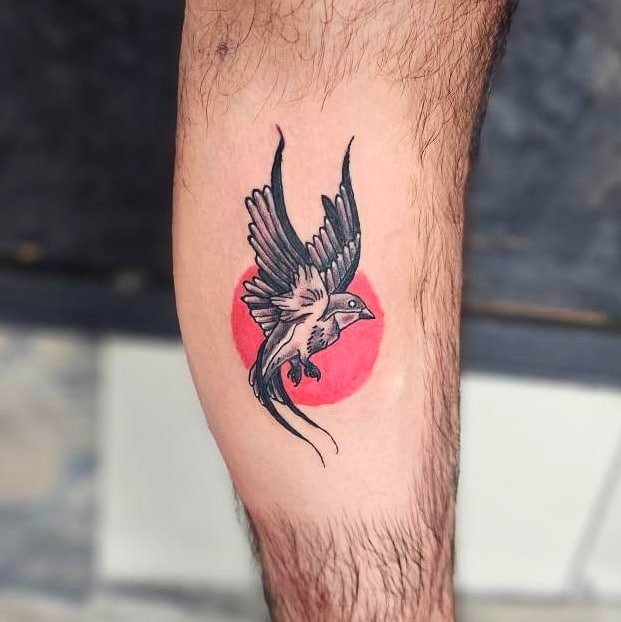 Tattoo of a bird with outstretched wings and long tail feathers on a person's leg, with a red circular background.