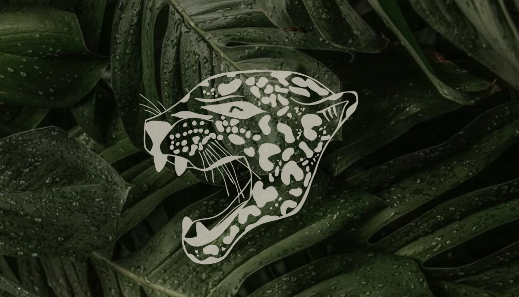 Portfolio 2025 - 1.png