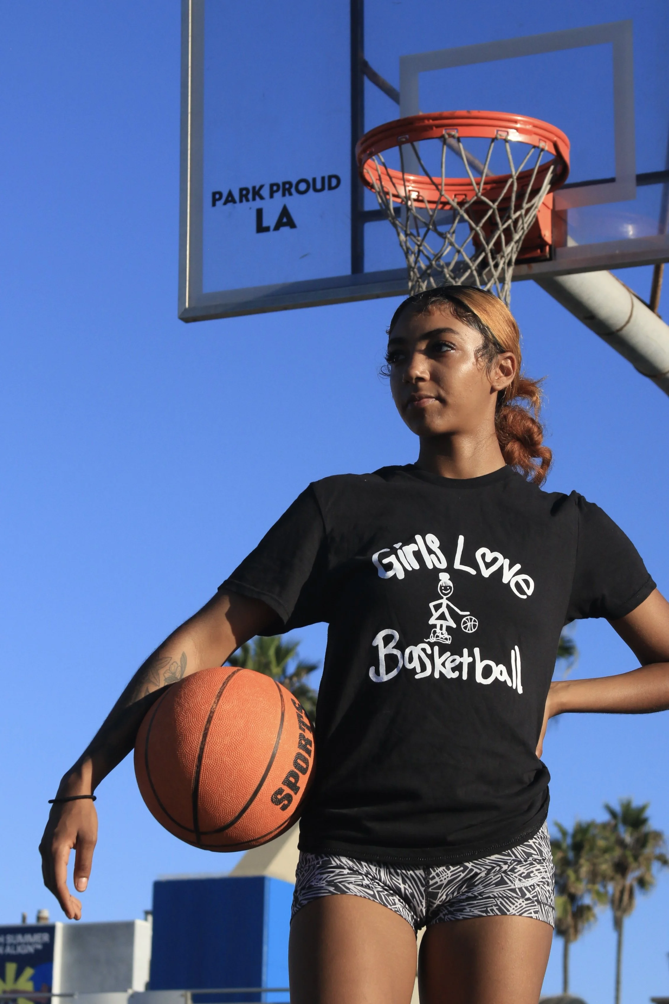 black t hoop n ball.JPG