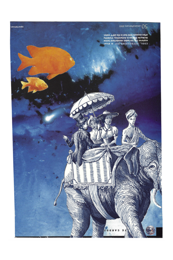 PNG OrangeBlue Elephant PDF FINAL 8X12.png