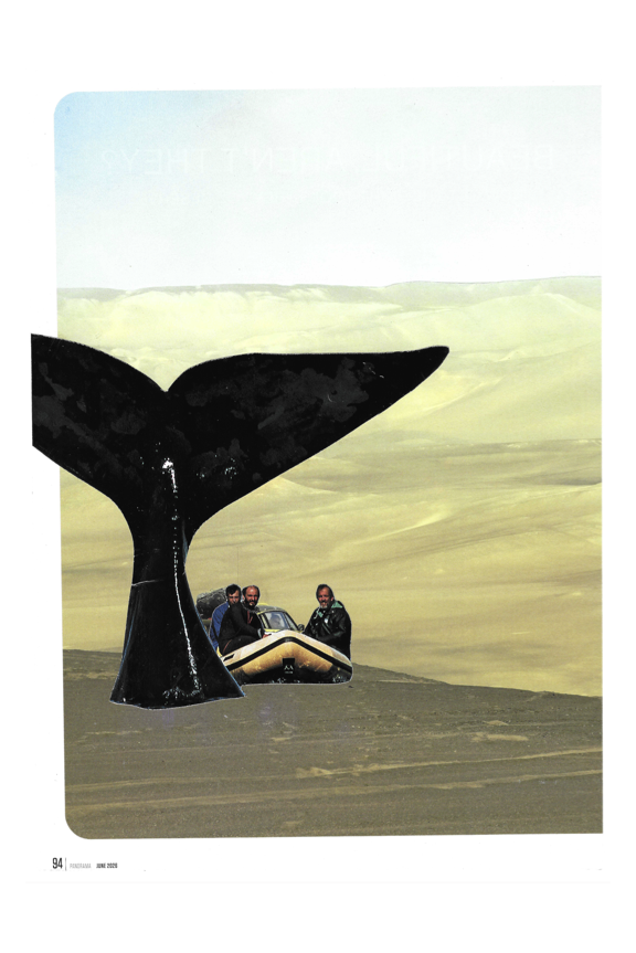 PNG DesertWhale Boat PDF FINAL 8X12.png