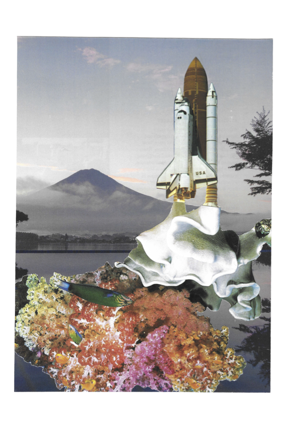 RocketCoral Reef