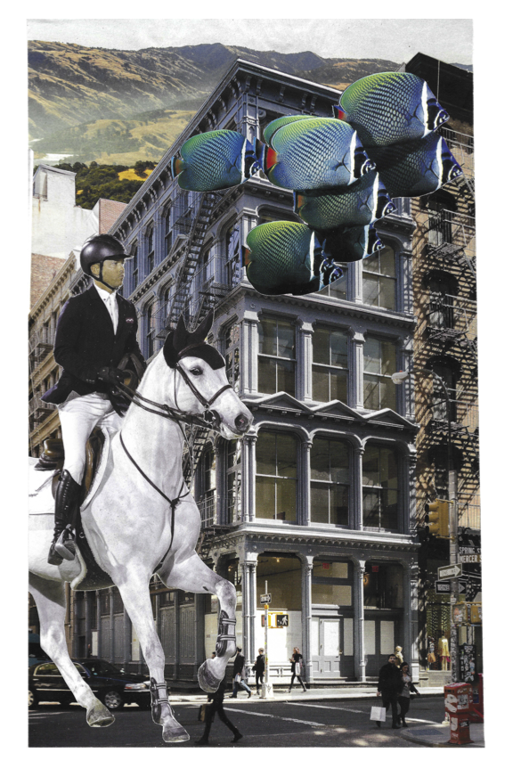 PNG Horse FishCity PDF FINAL - 8x12.png