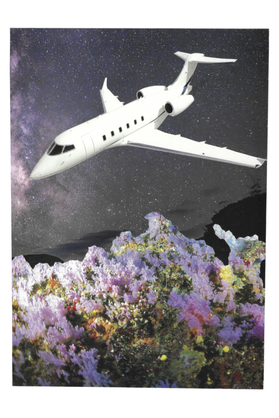 PNG Plane SpaceReef PDF FINAL - 8x12.png