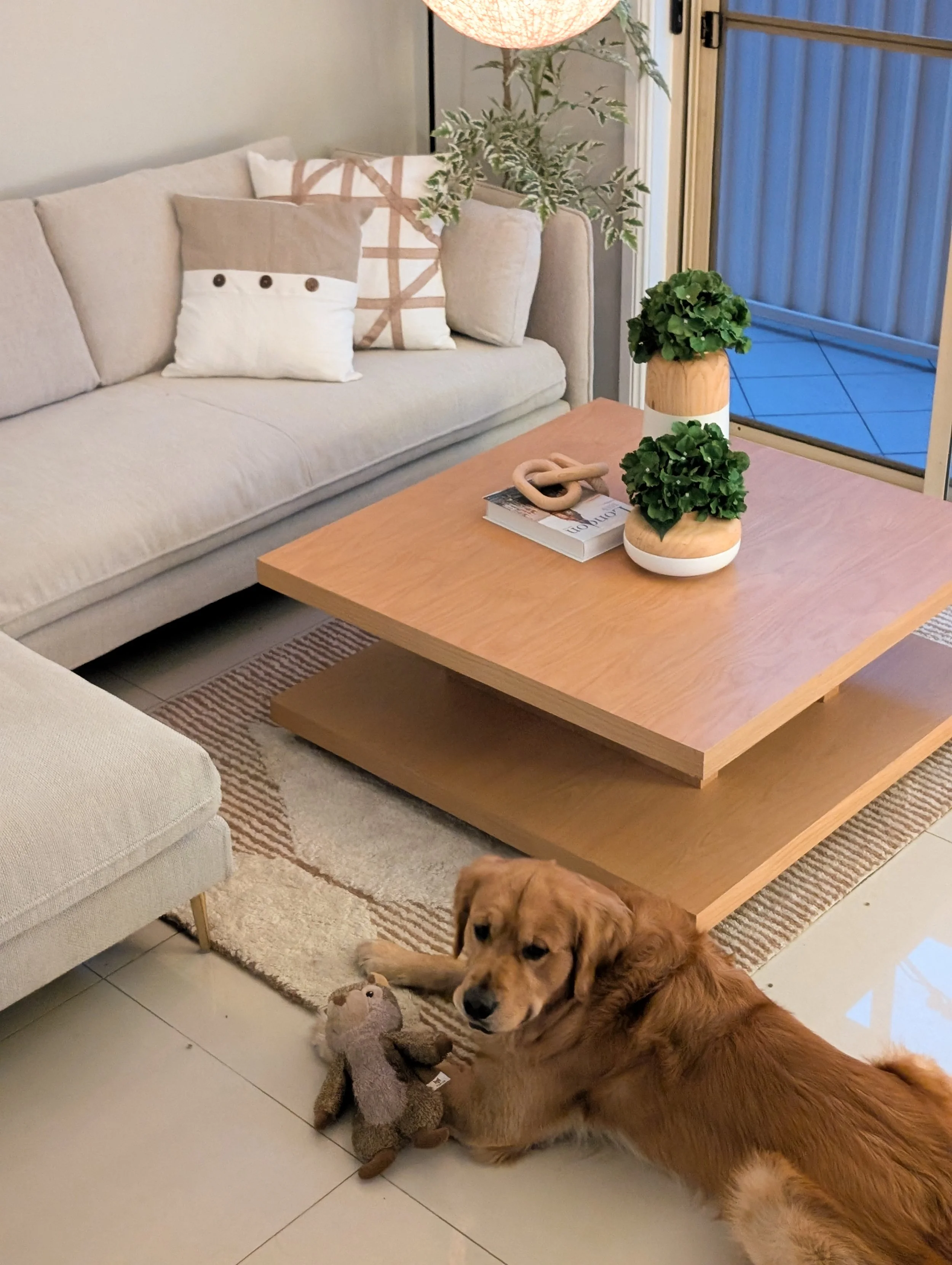 Living room with beige couches, decorative pillows, a light wood coffee table with plants and books on it, a dog lying on the floor with a stuffed animal, and a sliding glass door leading outside.