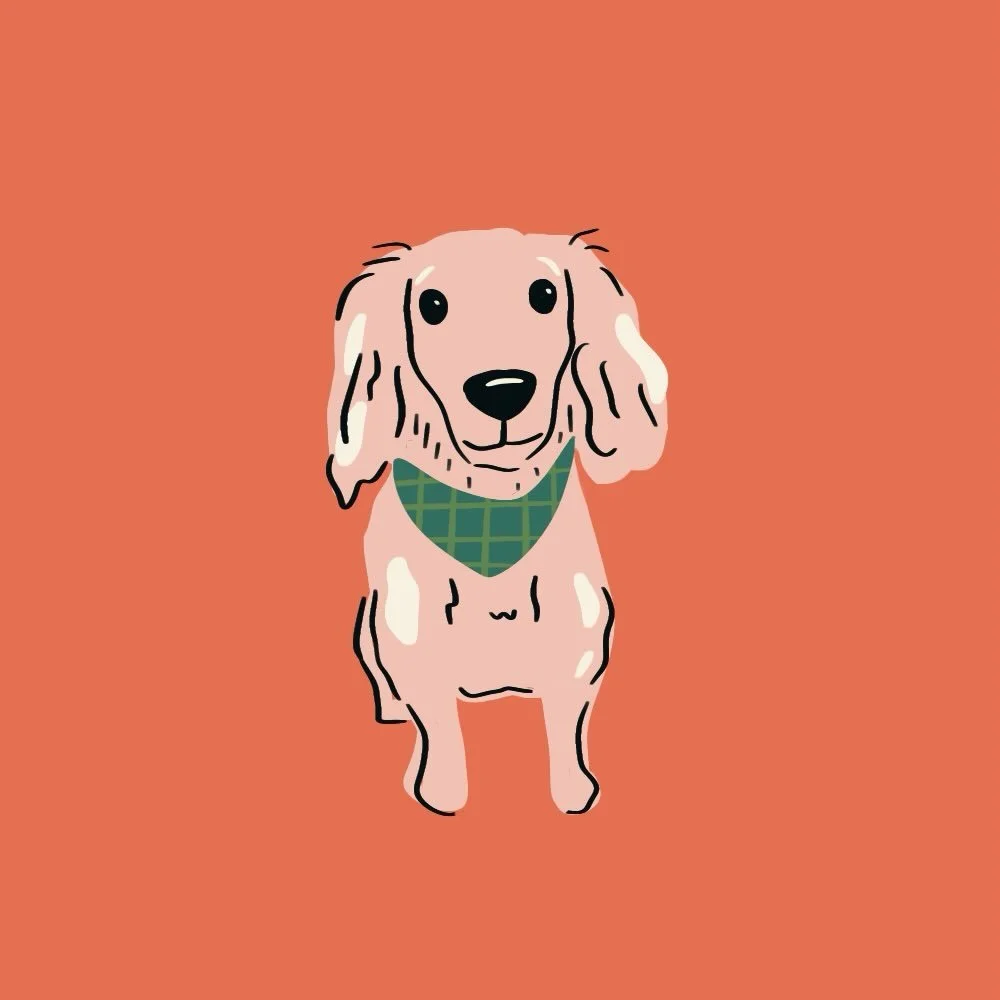 This week&rsquo;s #dogdrawingoftheweek is @_lindsaymenter 2-year old adorable pup, Bowie. 

Bowie is a 2-year-old sock-stealing outlaw with the vocal range of a dramatic opera star. He delivers passionate speeches to squirrels, lodges formal complain
