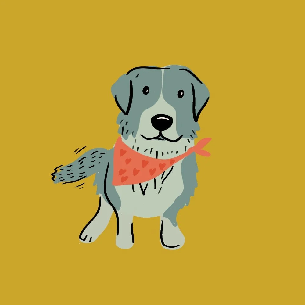 This week our #dogdrawingoftheweek comes from @sweetfragranceofgod and her cute pup, Shiloh.

Shiloh the Bernese Mountain Dog is basically a living throw pillow with legs&mdash;soft, fluffy, and usually found napping like it&rsquo;s her full-time job