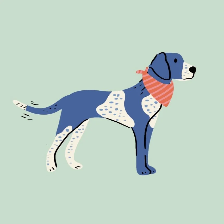 Last weekend we watched Coleman, a red coon hound. He was the inspiration for this week&rsquo;s #dogdrawingoftheweek but while Coleman was a simple red color, I wanted to give this pup some freckles. My own dog is a Brittany with freckled legs so I s