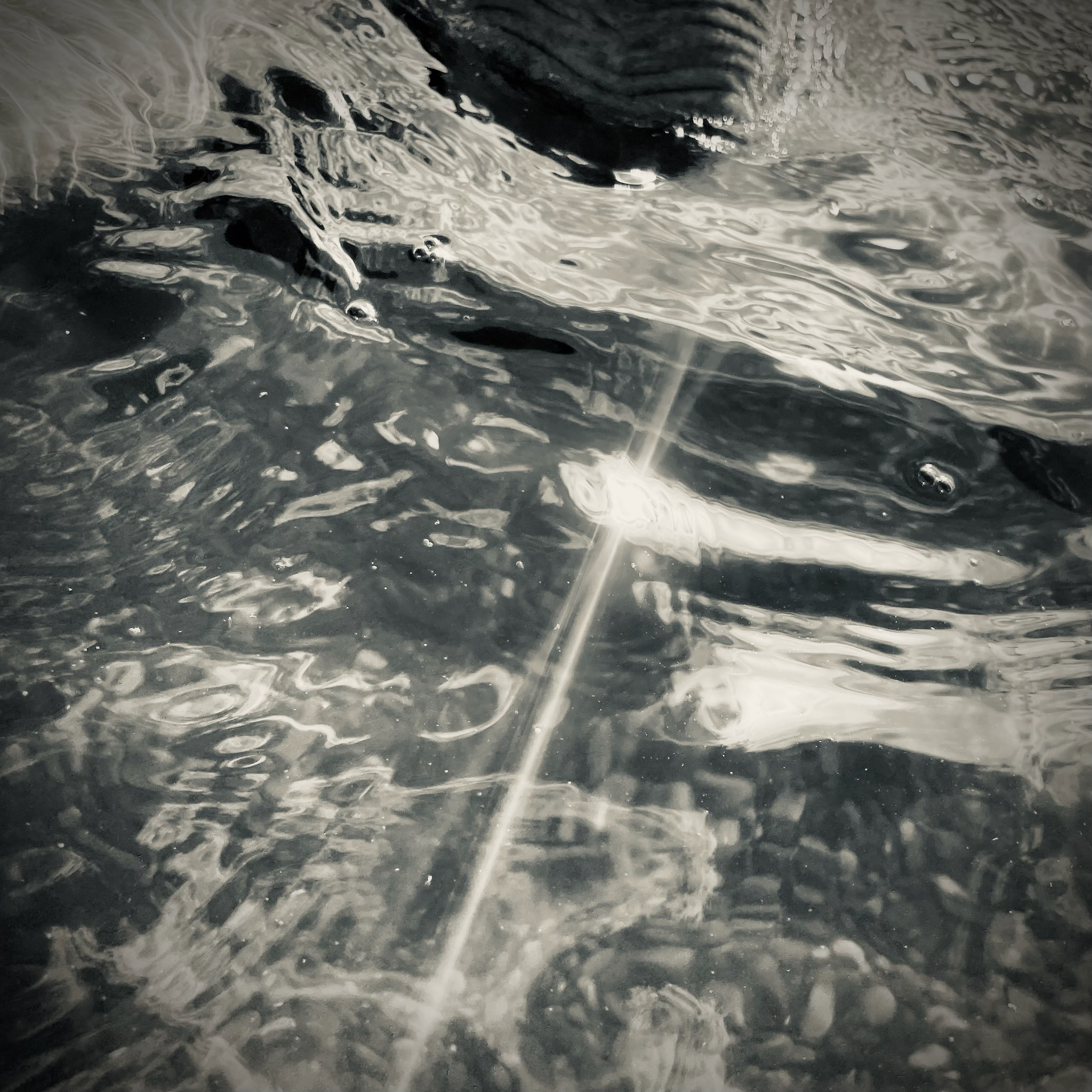 Captain e2 Brewster in the water — ripples and reflections across the surface, part of this series.