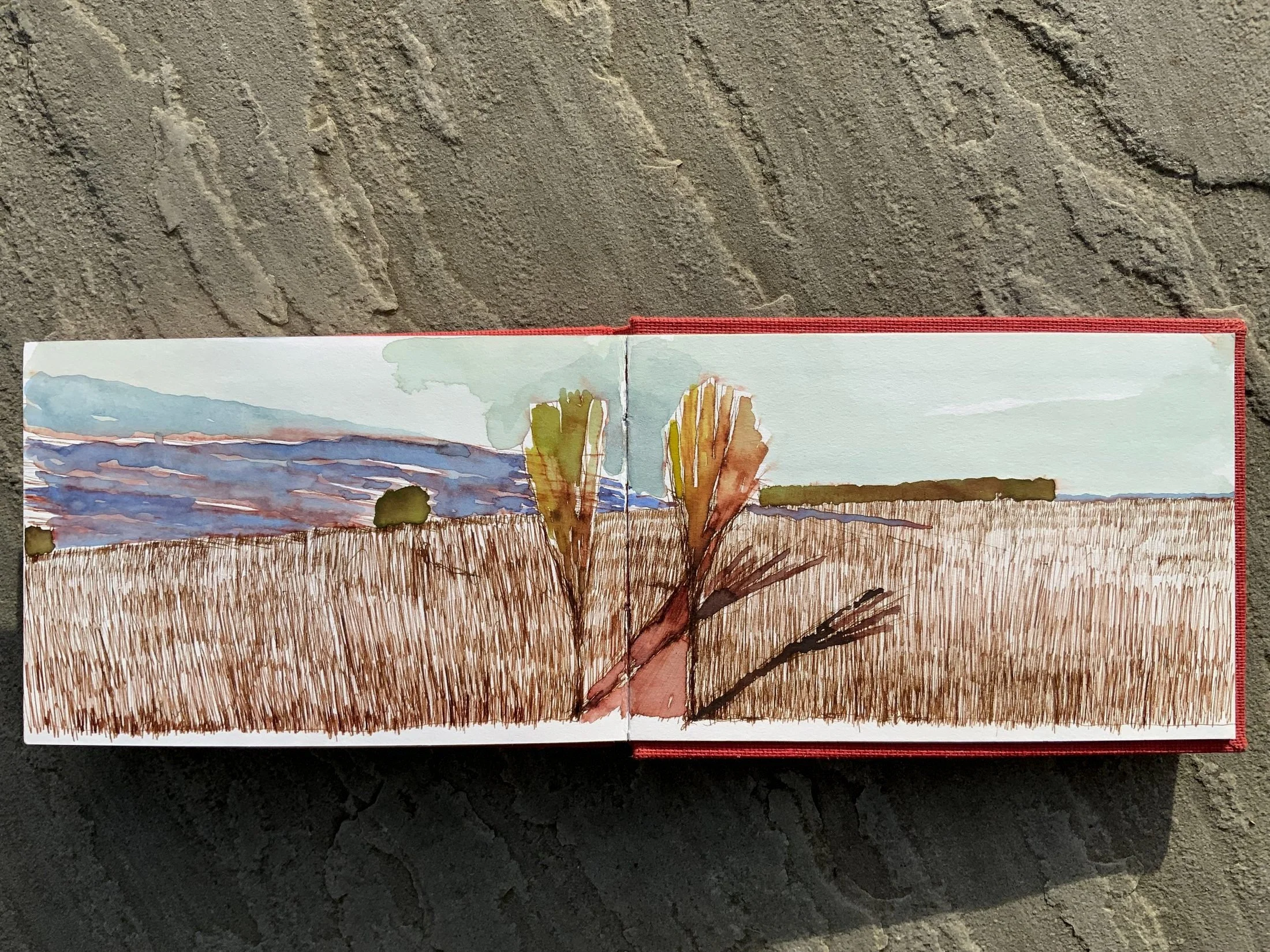 Watercolor and ink marsh landscape by e2 Brewster in an open sketchbook with a red cover, resting on gray stone: tall golden-brown grass, two feathery trees at the center fold, blue-purple hills and a pale green sky.
