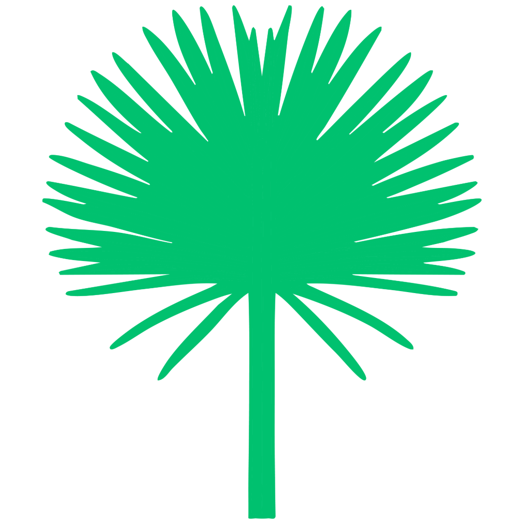A simplified green silhouette of a dwarf palmetto.