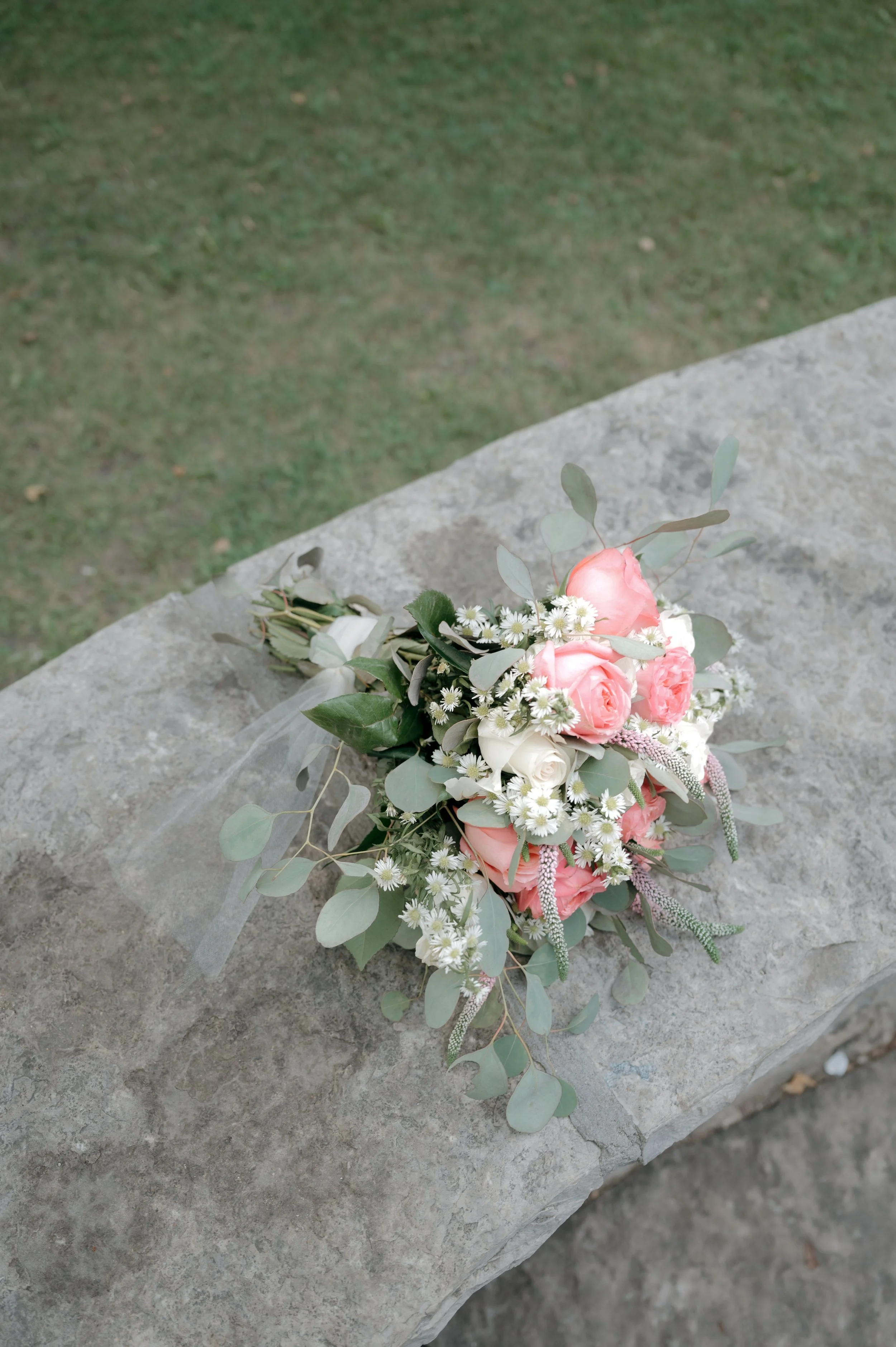 DSC_0175.jpg
