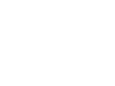 PS-07-TOPICA.webp