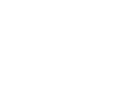 PS-08-GALANTE.webp