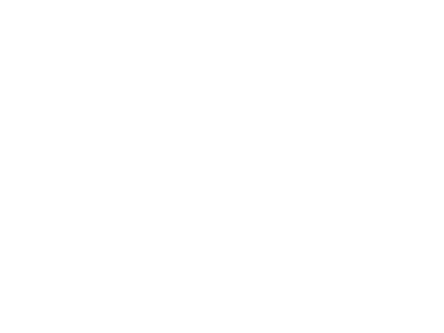 PS-21-HOMERA.webp