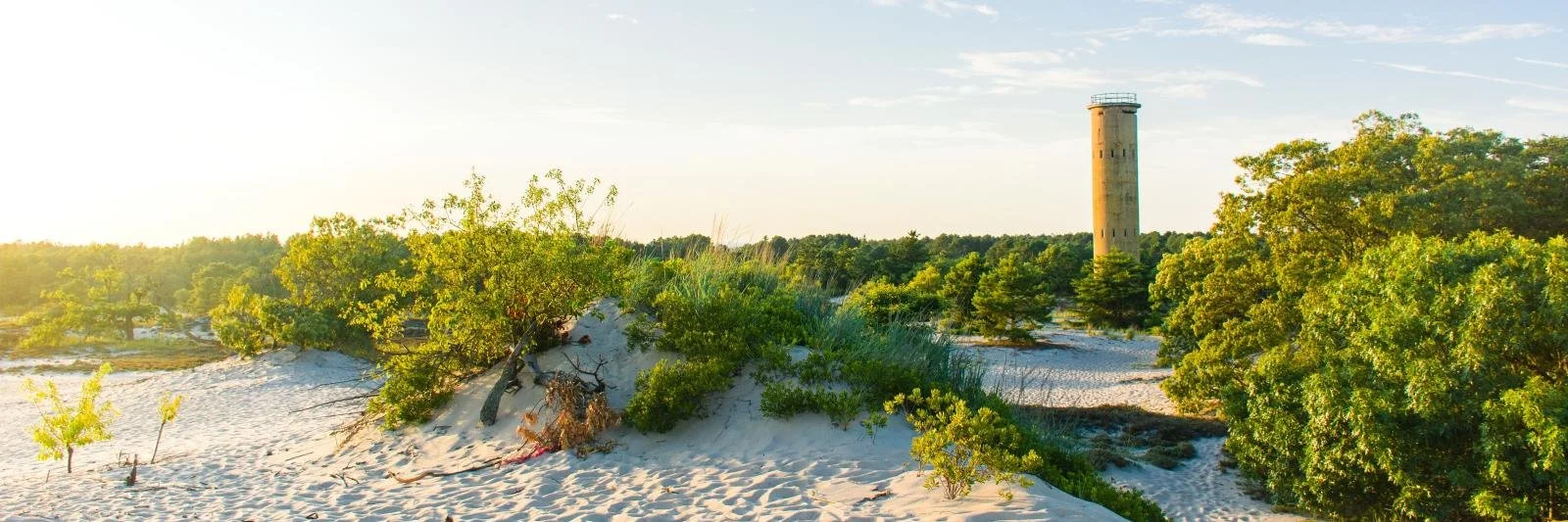 Adventure Workout + Beach Hangout @ The State Park - Great Dune