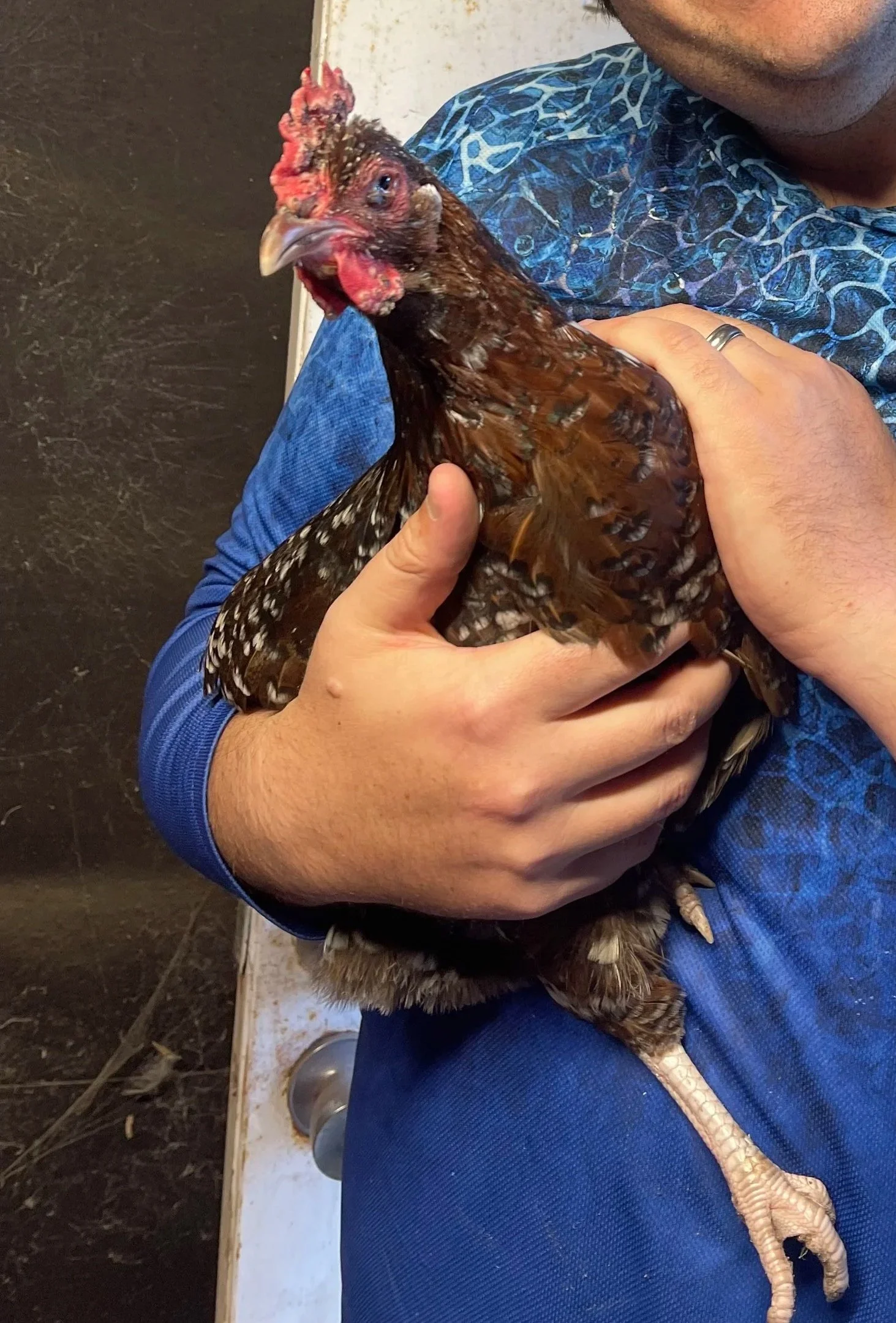 She loves a good cuddle 