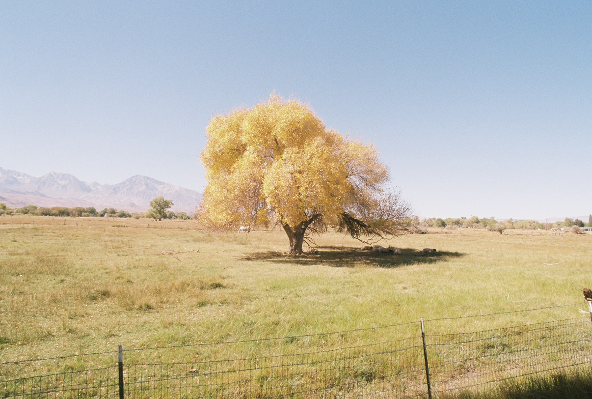 View recent photos 4.png