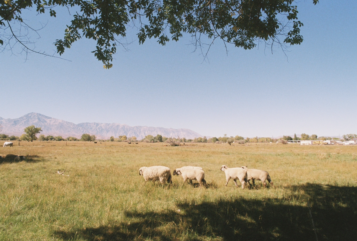 View recent photos 5.png