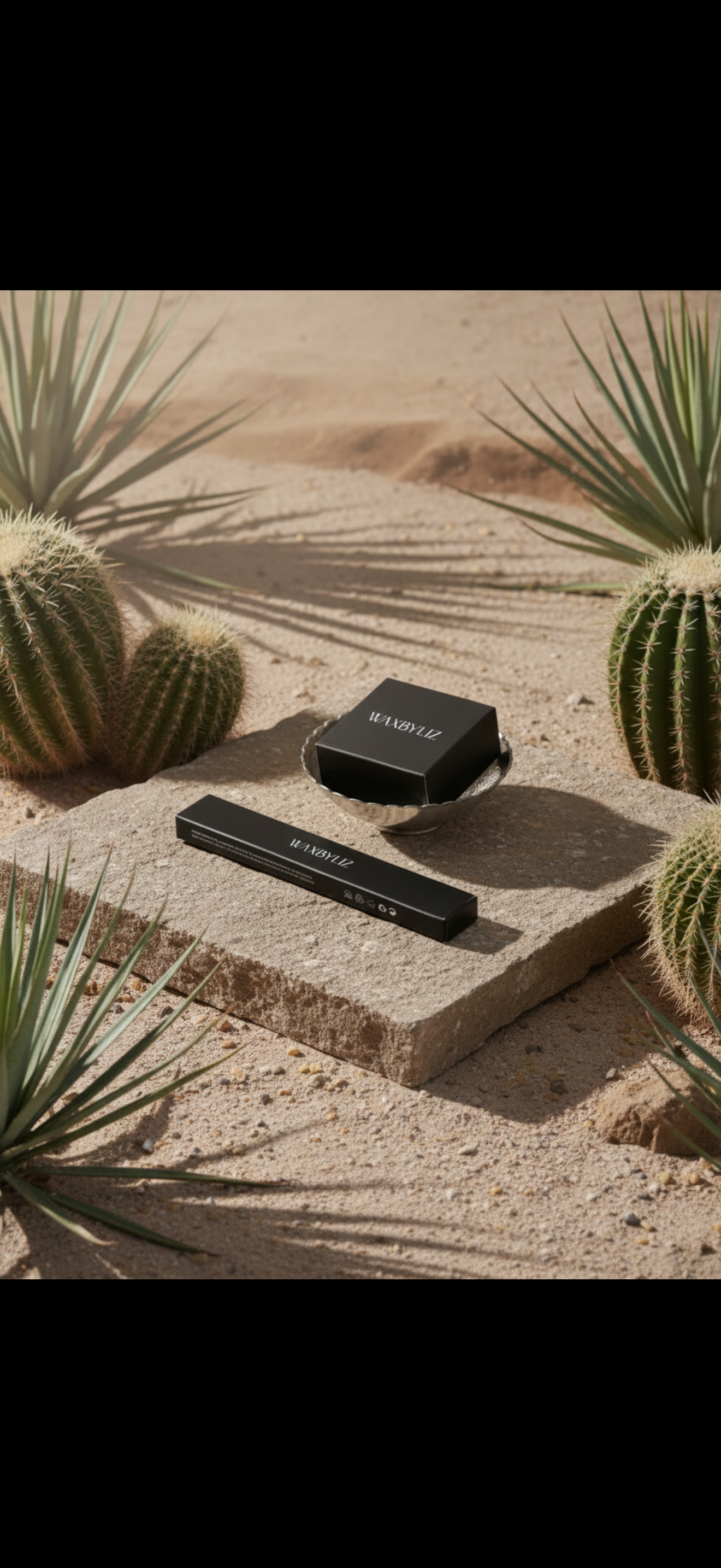 Black boxed product and a long rectangular box with white text, placed on a stone slab in a desert-like environment with cactus plants.