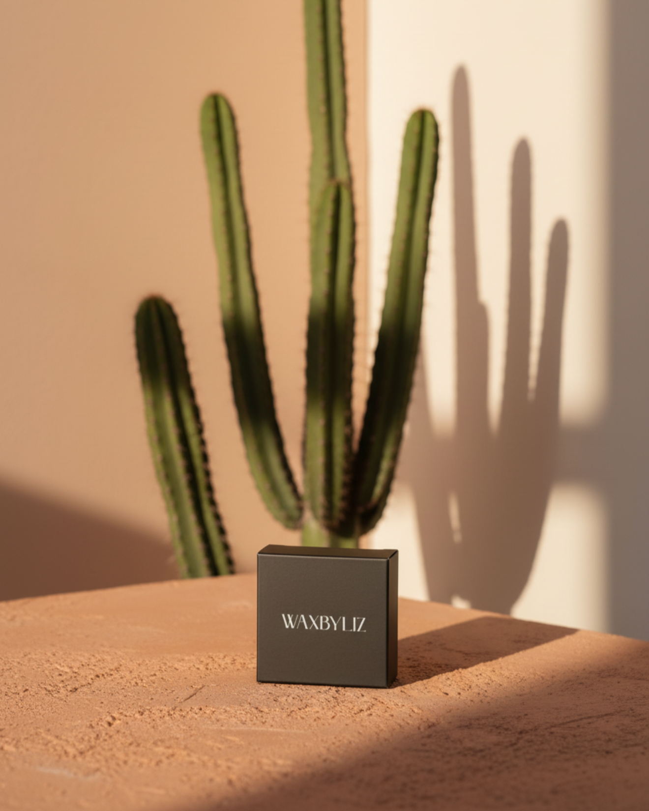 A small black box with the text 'WAXBYLIZ' printed on it, placed on a textured surface with a cactus plant casting a shadow in the background.