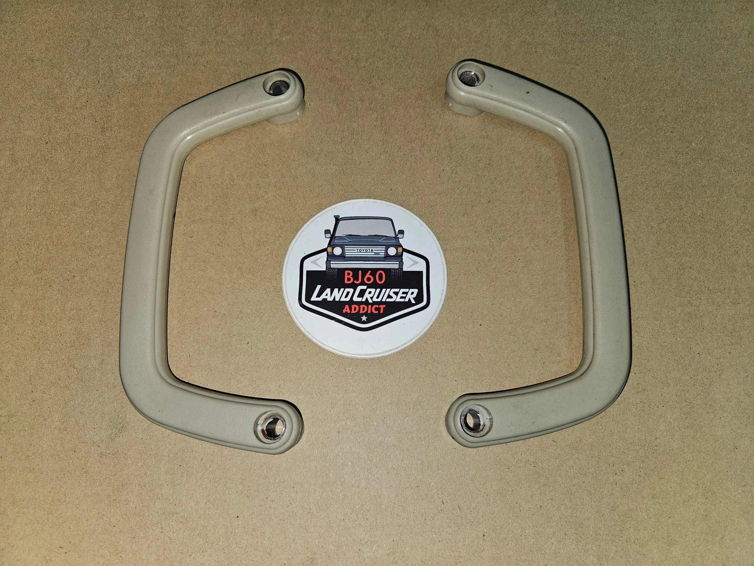 Rear door assist handles