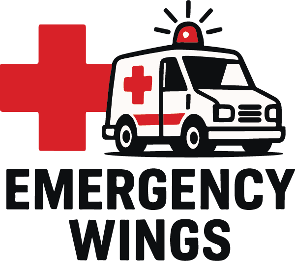 Emergency Wings