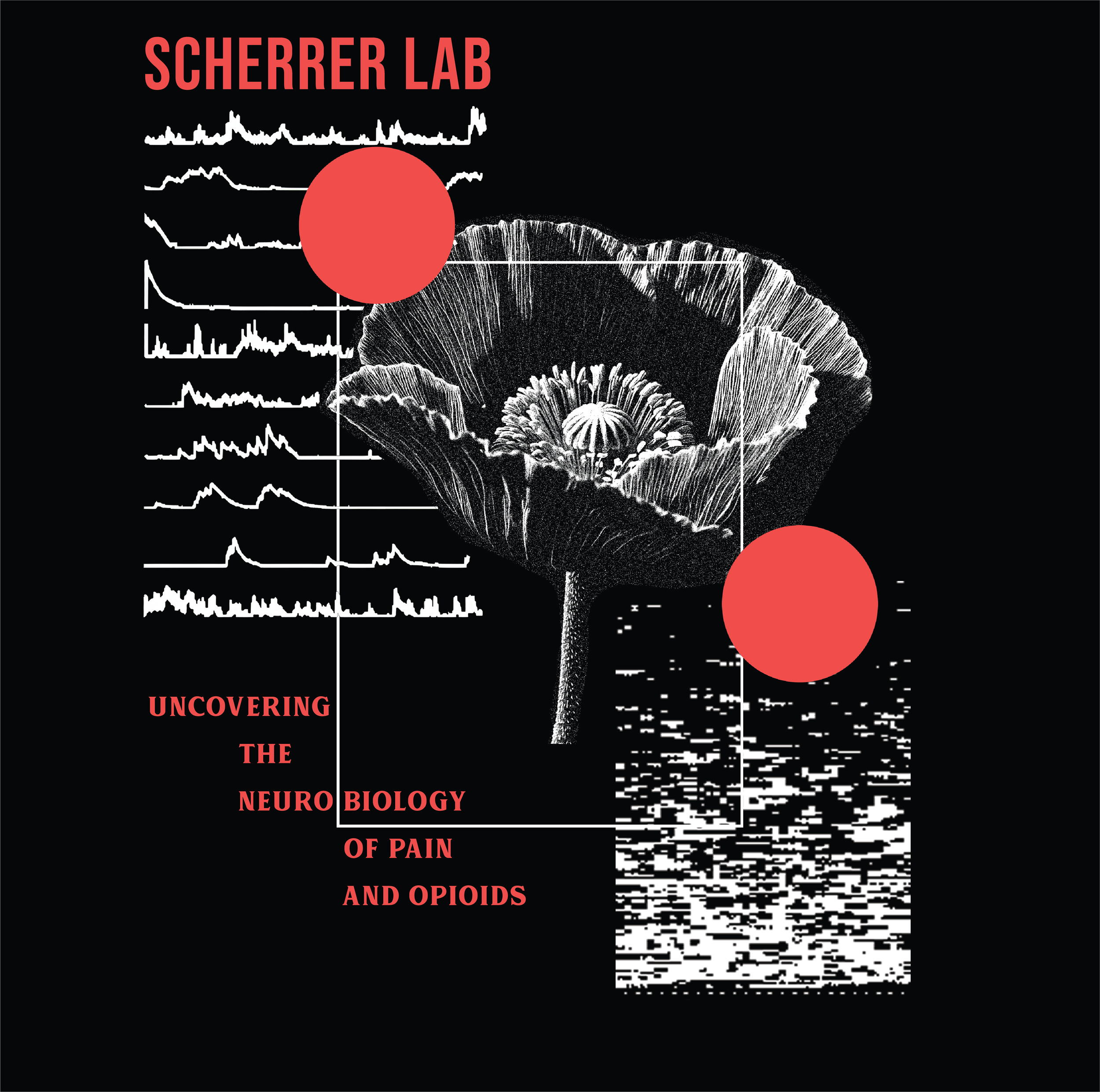 Opioid & Pain Digital Collage