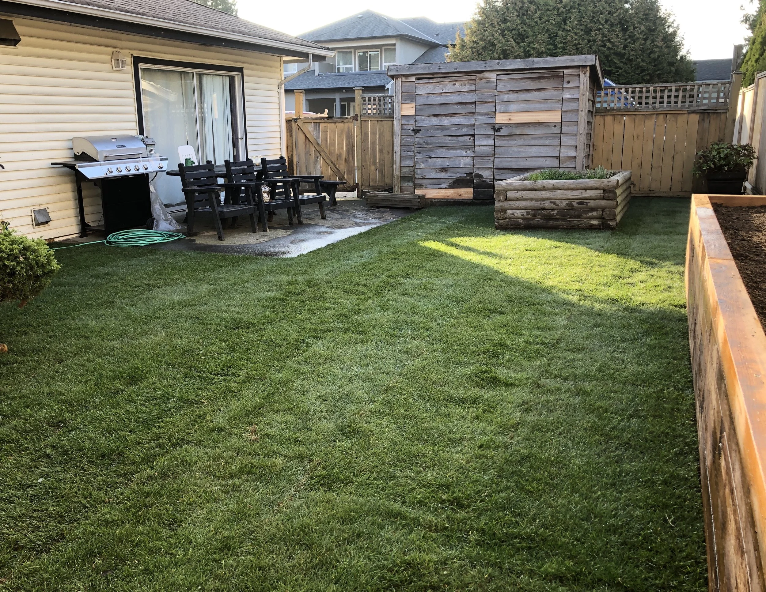 A backyard with a well-maintained green lawn, a shed, a wooden planter box, a patio with chairs, a grill, and a garden bed.