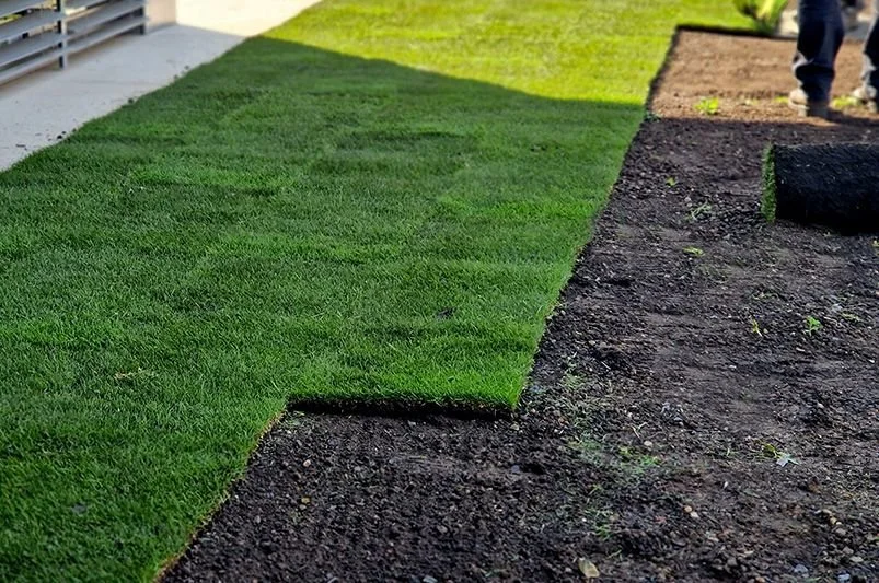 Natural Turf Installation