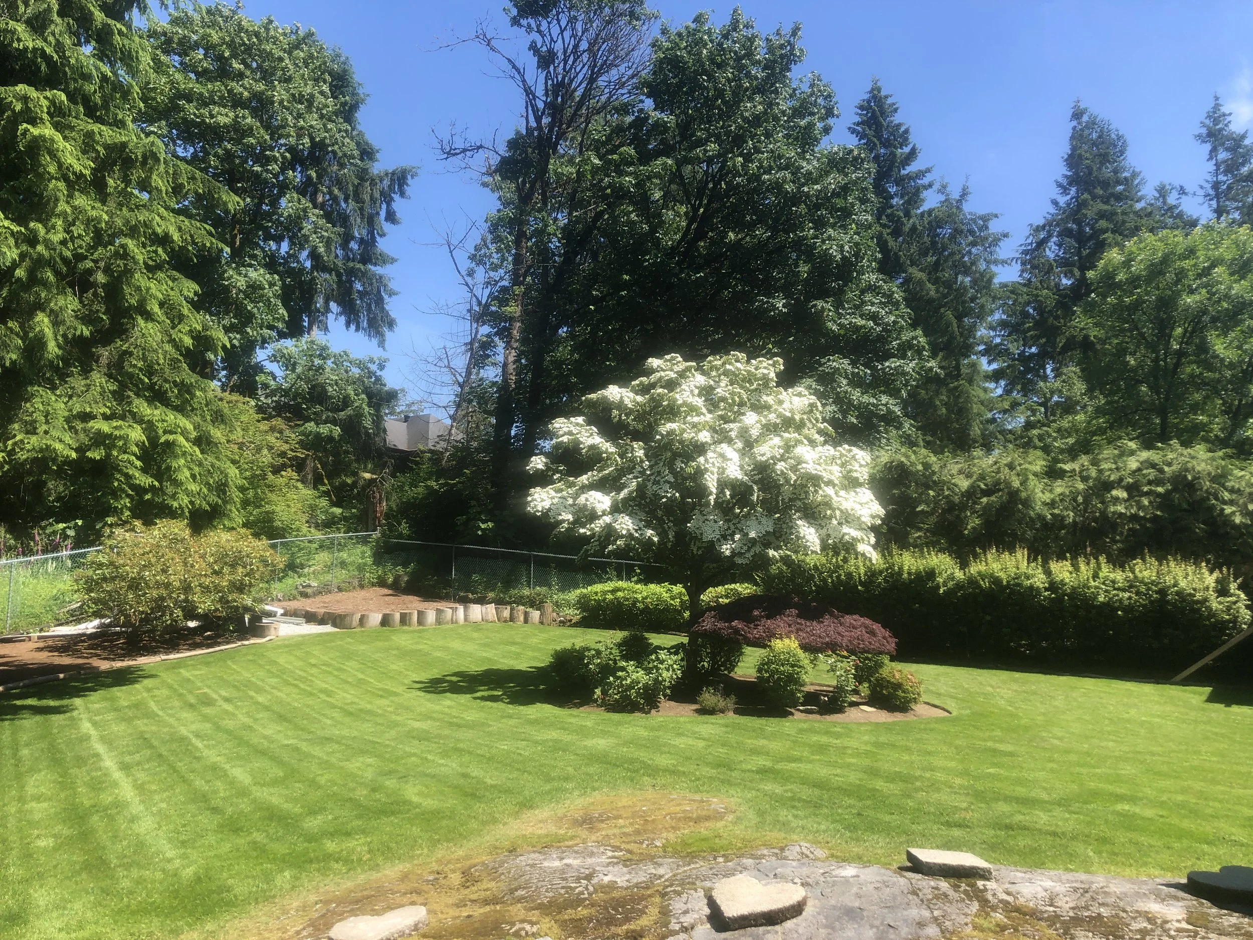 landscaping lawn care