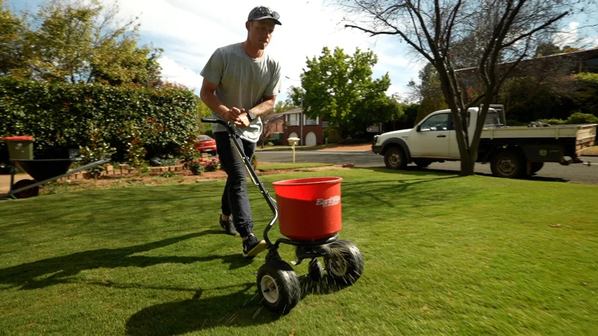 A man in a gray t-shirt and black pants using a lawn fertilizer spreader on a green lawn.