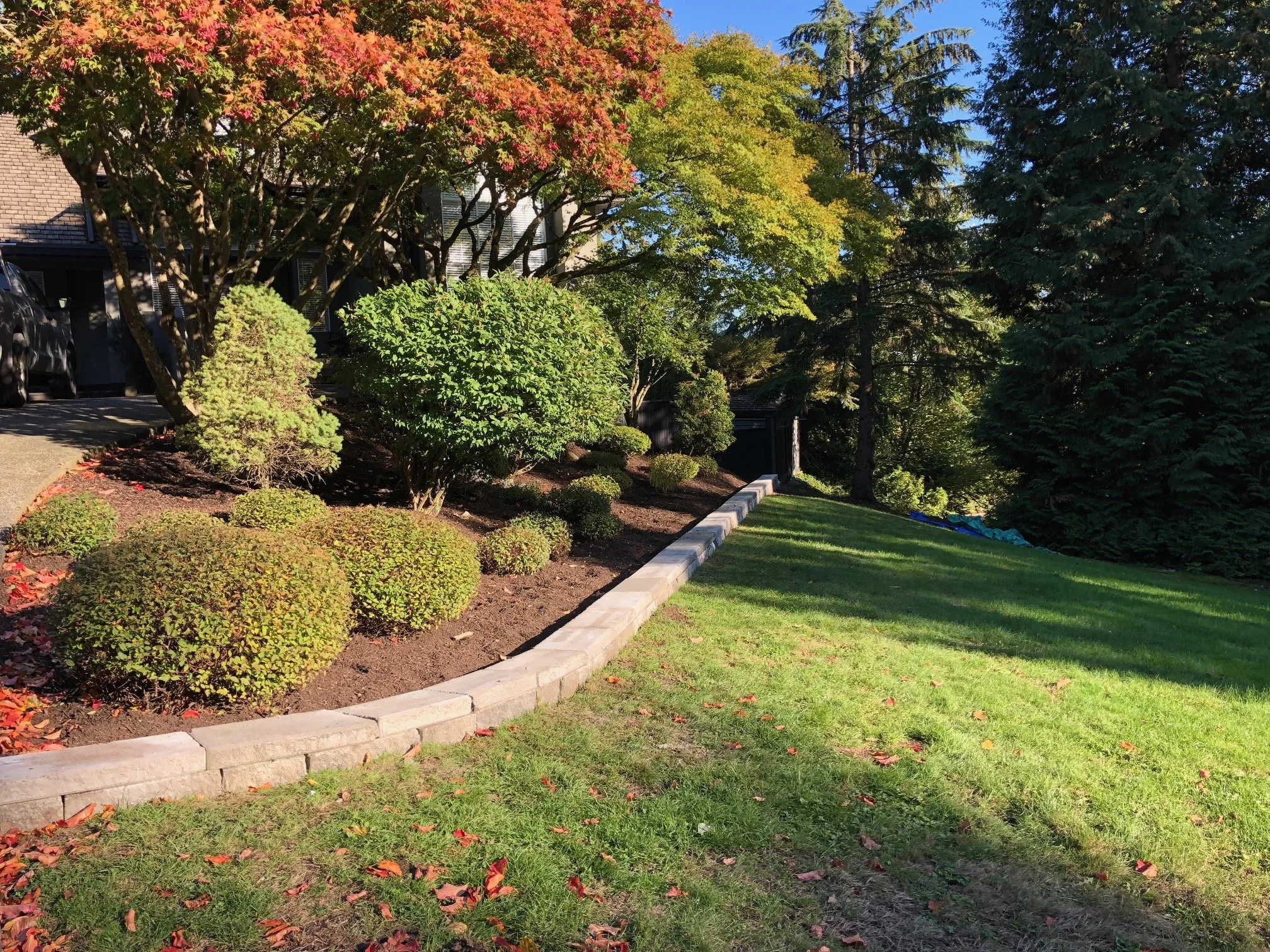 A landscaped yard with a curved brick border, various bushes and trees, and a well-maintained grassy lawn under a bright blue sky.