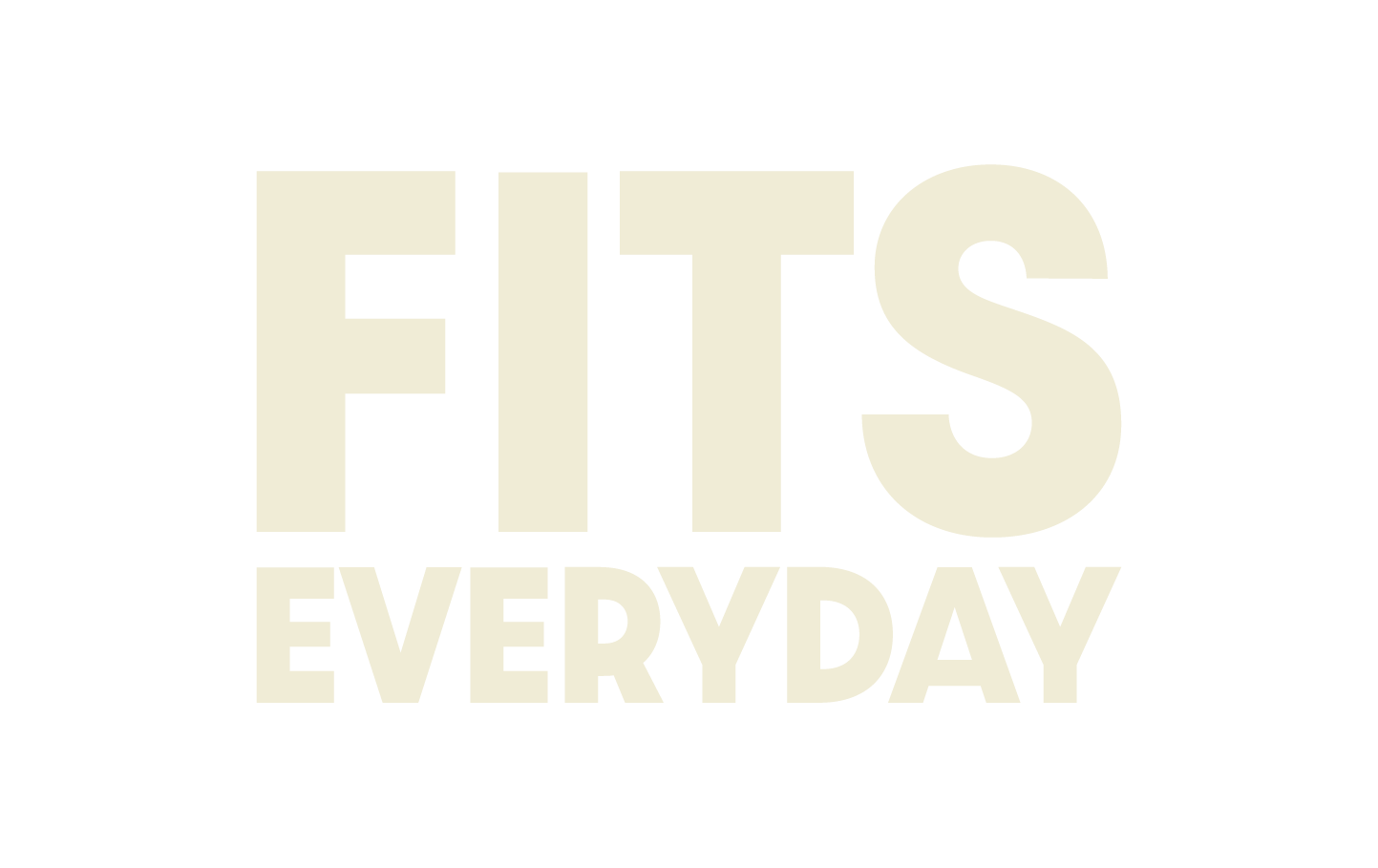 Text that reads "FITS EVERYDAY" in large, light-colored letters on a plain, white background