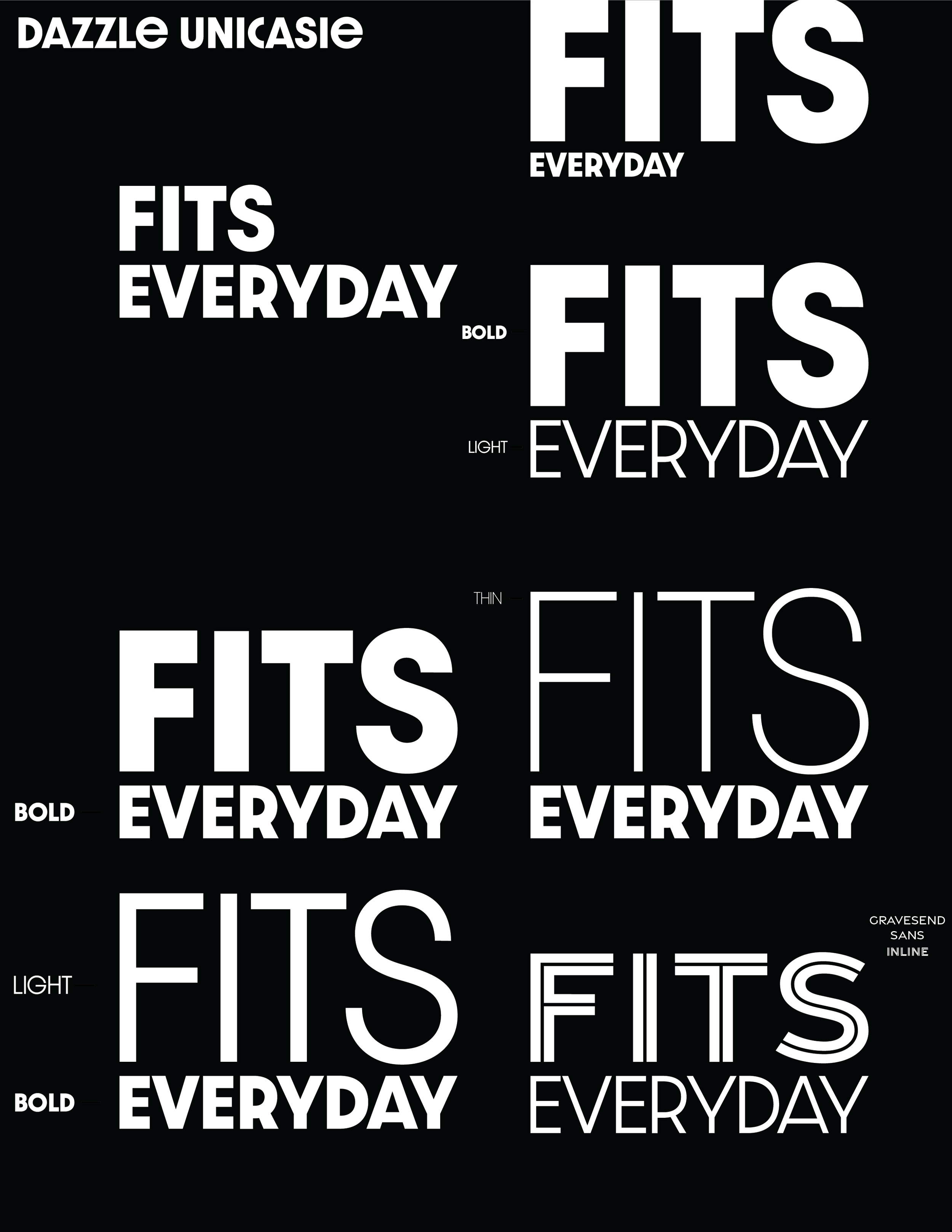 A collection of different typography styles of the phrase 'FITS EVERYDAY' on a black background.