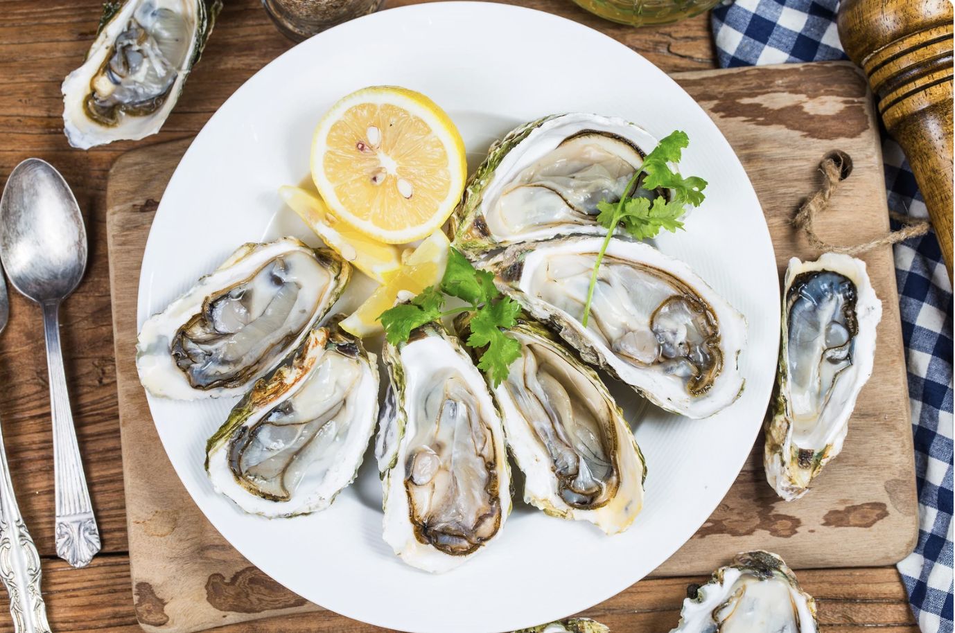 Screenshot 2026-02-28 at 2.39.51 PM.png