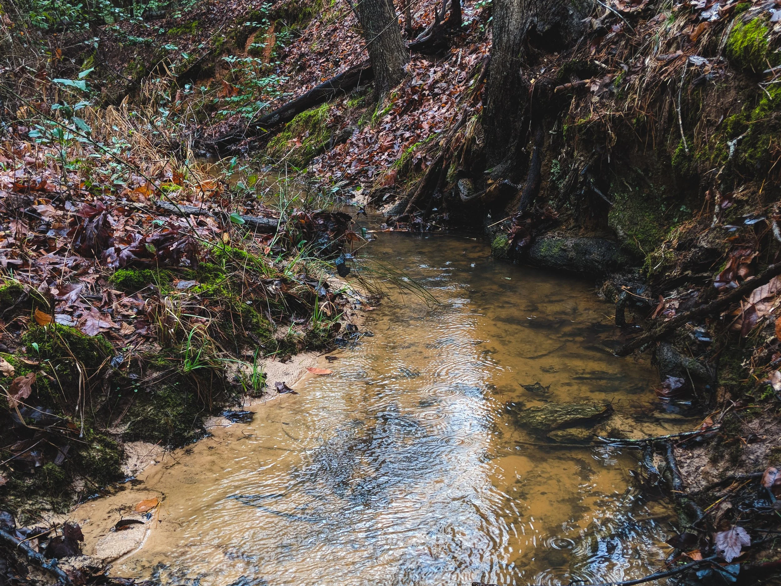 Hopes for Rain in Times of Drought