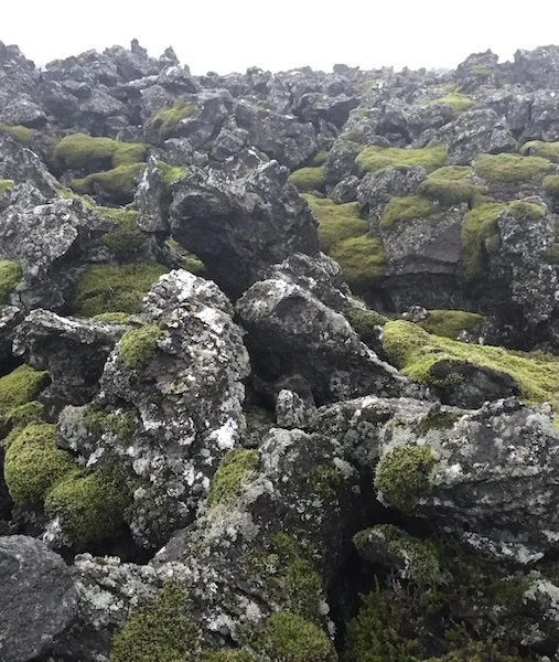 Lava field in Iceland. Photo by Richard Fidler
