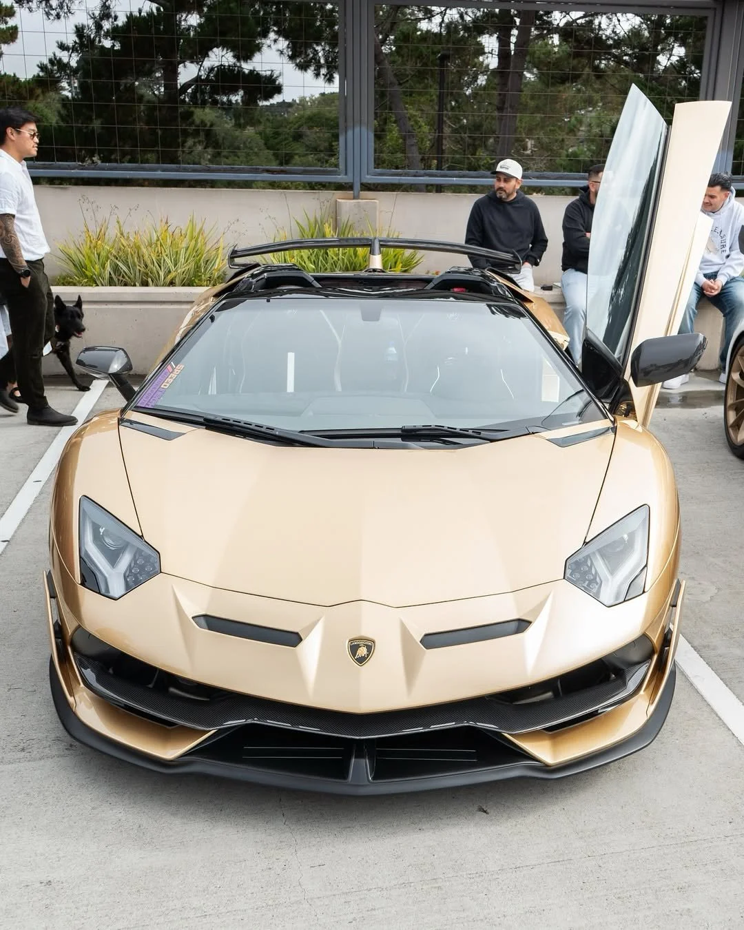 A gold Lamborghini supercar with scissor doors open, parked outdoors with four people and a dog nearby. The car is on a concrete surface with trees and a fence in the background.