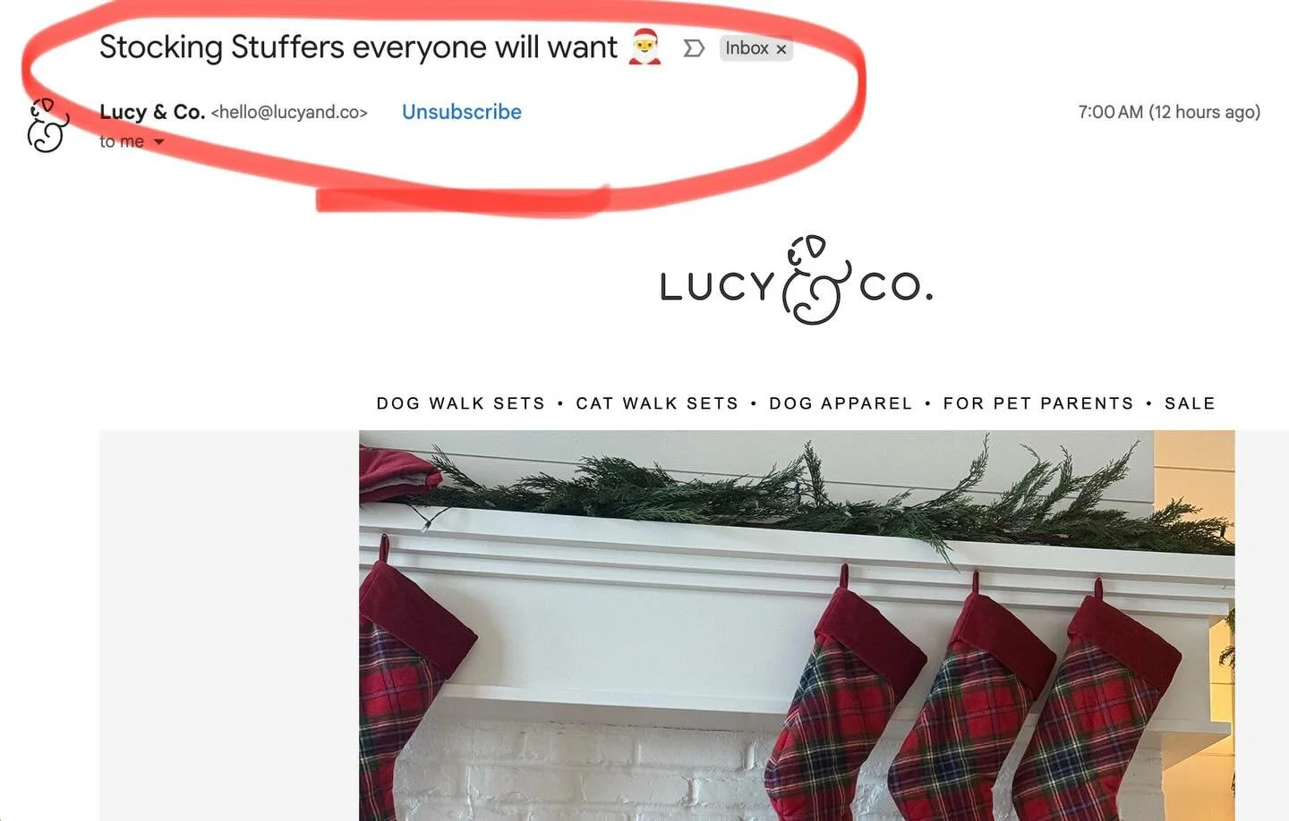 Using one of my favorite pet brands, @lucyand.co as the example today (Gus exclusively rocks their gear 🐾💖):
Subject Line (A):
&ldquo;Stocking Stuffers everyone will want 🎅&rdquo;
Here are 3 B versions I&rsquo;d test against that control &mdash; a