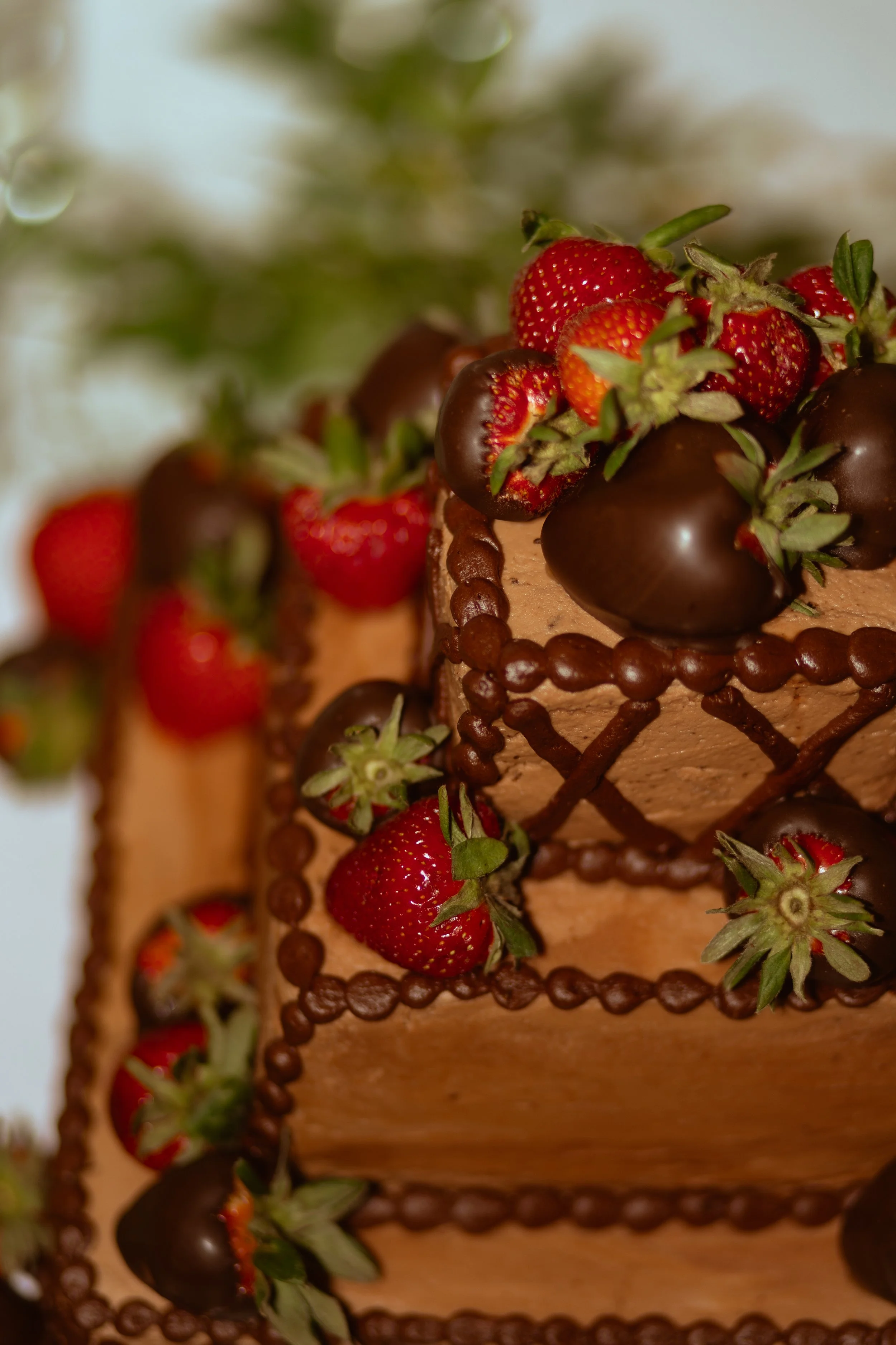 Close-up of a multi-layered chocolate cake decorated with strawberries, chocolate-covered strawberries, and chocolate piping. Wedding Photography in North Alabama