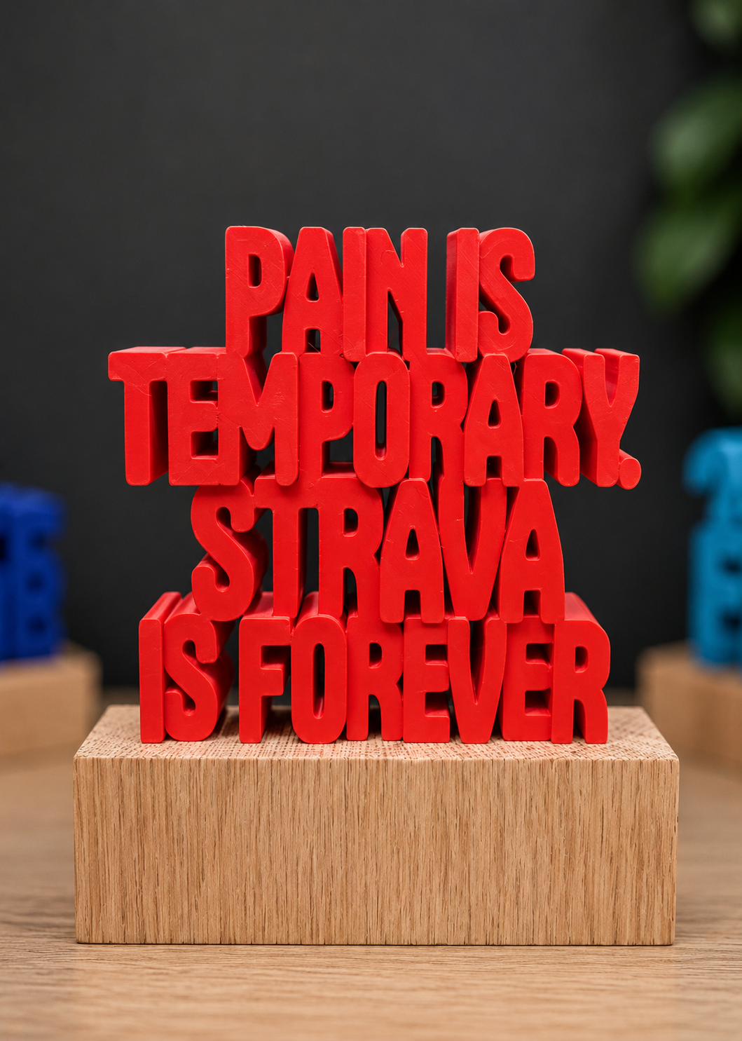 Pain Is Temporary. Strava Is Forever.
