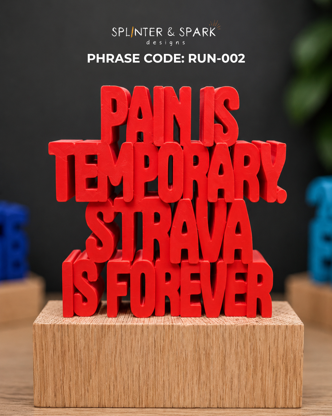 Pain Is Temporary. Strava Is Forever.