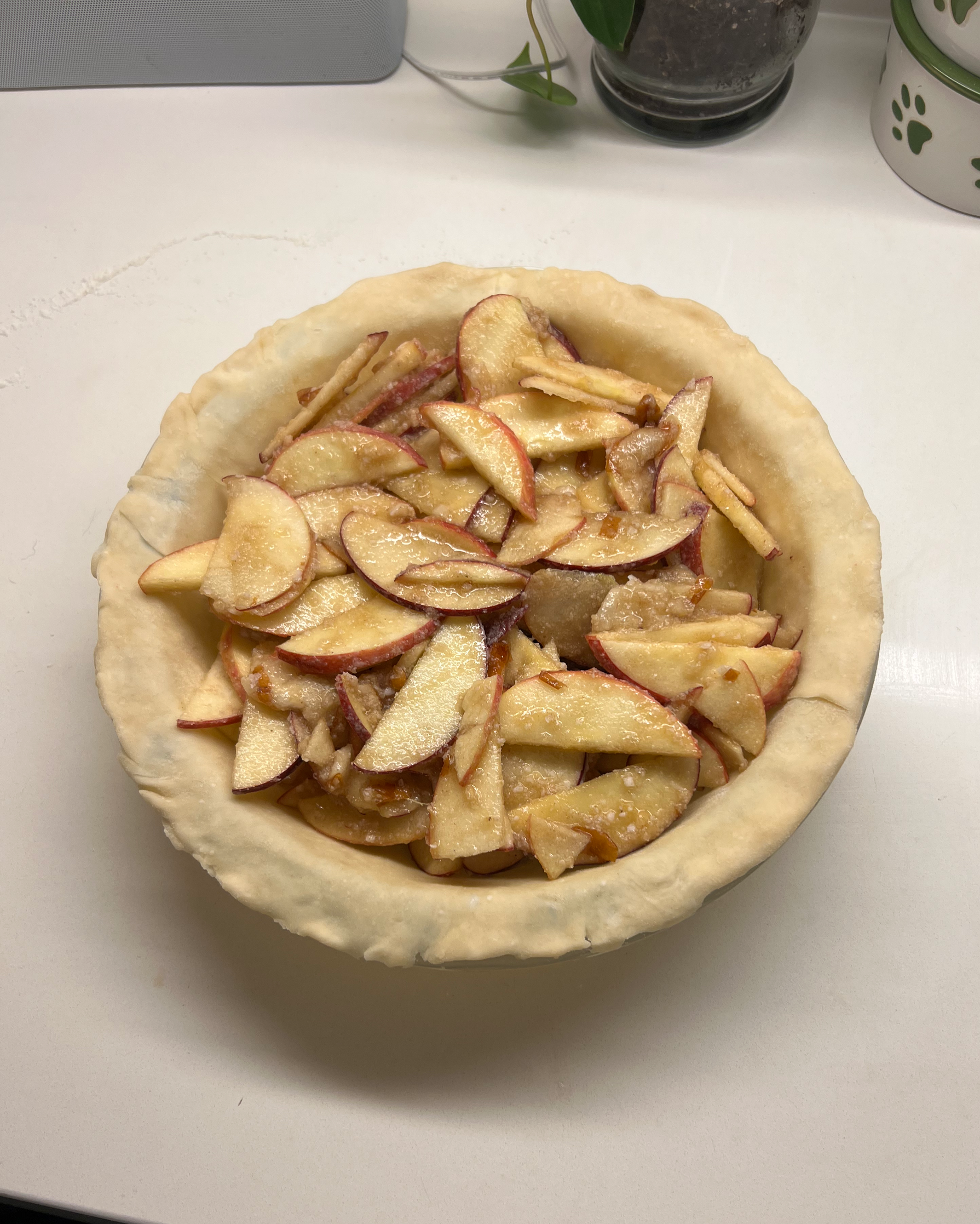 Homemade cinnamon apple pie (pre-baked crust and filling) with handmade coconut oil crust