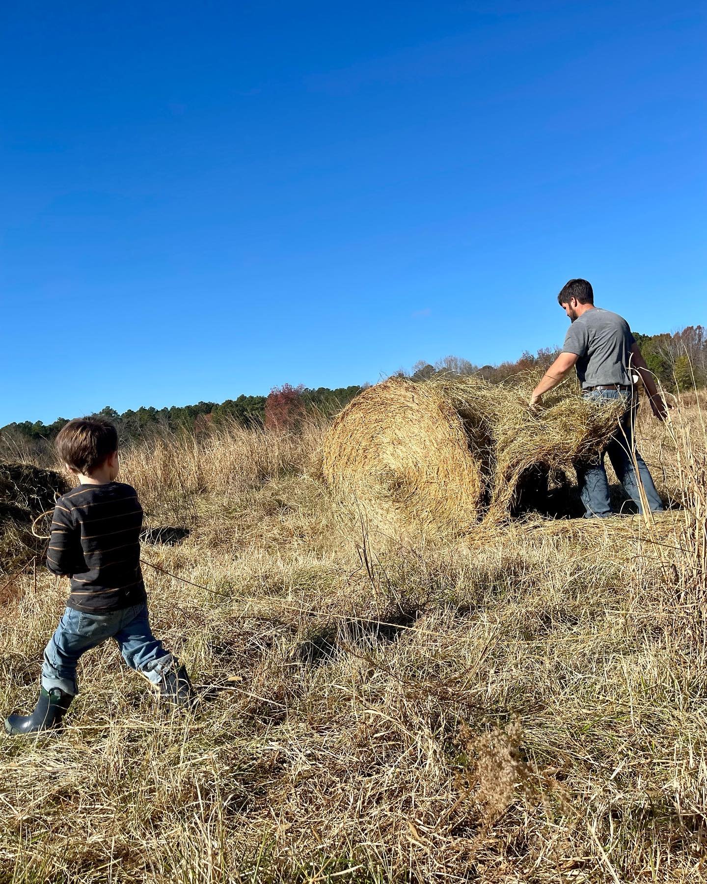 A man and a young boy working together outdoors in a field, handling hay bales under a clear blue sky.