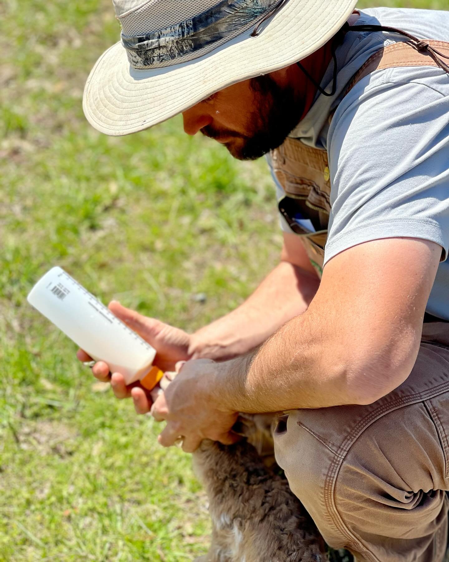 A man wearing a wide-brimmed hat and outdoor clothing, kneeling on green grass, holding a bottle and tending to a small animal, possibly a puppy.
